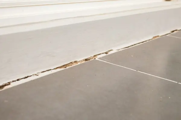 Edge & Scratch Removal Edge & Scratch Removal