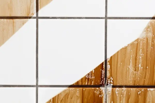 Stain Removal Stain Removal